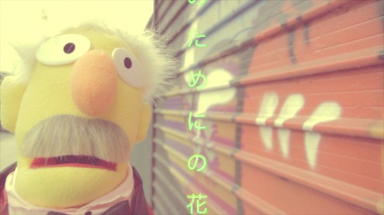 Luke McGrath Faux Faux Amis