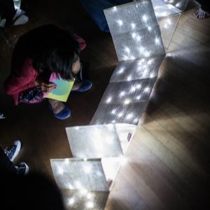 YAH 15 Inflorescence 2