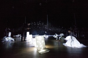 YAH 15 Inflorescence 6