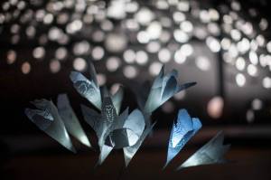 YAH 15 Inflorescence